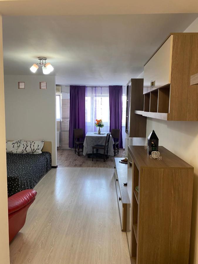 Studio Dristor Appartement Boekarest Buitenkant foto